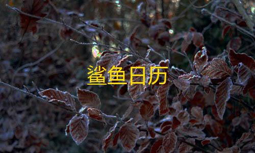 虚拟产品货源渠道鲨鱼日历